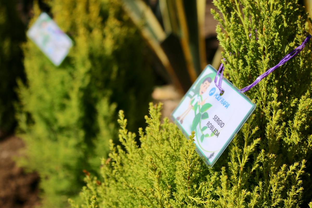 Outdoor Garden Plant Labels: 7 Proven Tips to Avoid Costly Mix-Ups